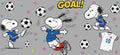 Nook Soccer