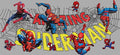 Amazing Spidey Web