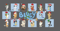 Bluey Christmas Grid