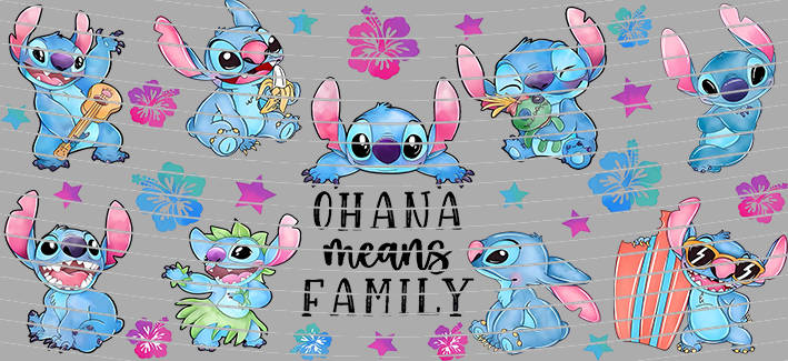 Ohana Means Family